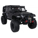 Auto R/C WILDERNESS RTR 1:10 Černý