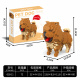 Sada Kostek 800 ks. Chow Chow