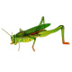 3D puzzle Hmyz ZA0229