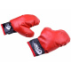 Boxerský set rukavice + pytel SP0565