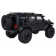 Auto R/C WILDERNESS RTR 1:10 Černý