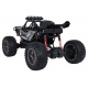 R/C Crawler STUNT Racing Šedý 1:8