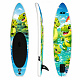 Aga Dětský Paddleboard DS2214 250x60x10 cm