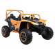 Buggy Arctic Cat Zlatý
