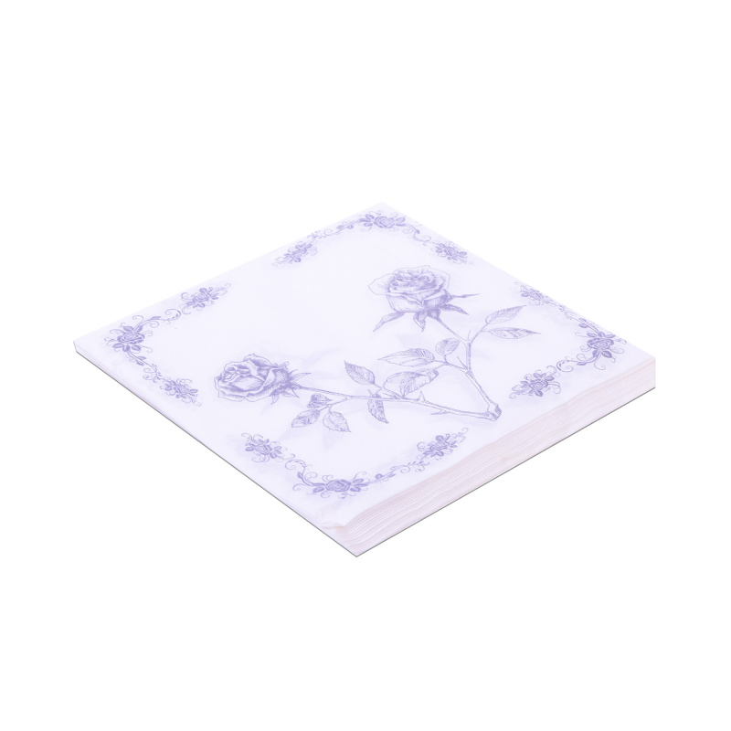 Aga4Kids Papírové ubrousky DS991BR 20 ks