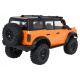 Auto R/C WILDERNESS 1:10 Žlutý