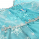 Aga Karnevalový kostým Elsa Frozen Ledové království 120cm
