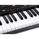 Varhany s mikrofonem SD-S850 61 kláves IN0143