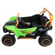 Bugina Arctic Cat Zelená