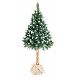 Aga Vánoční stromeček 220 cm s kmenem