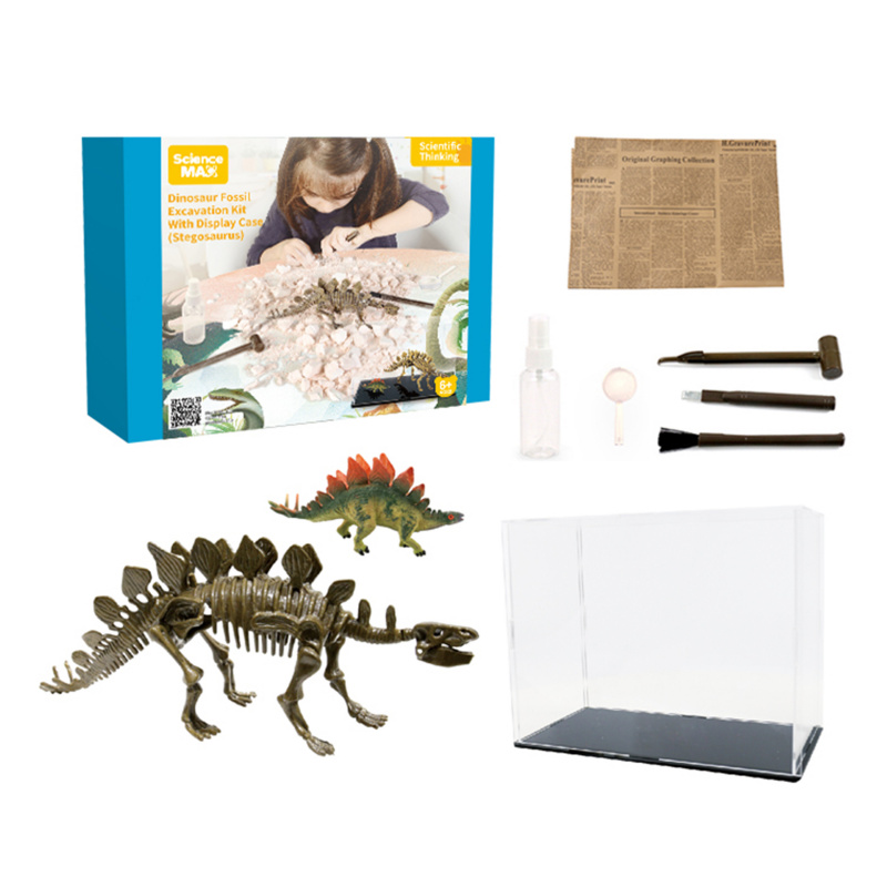 Aga4Kids Sada pro malé paleontology Stegosaurus