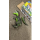 Aga4Kids Interaktivní dinosaurus T-Rex - 2DZ254 - 2. JAKOST